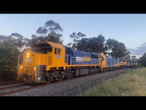 9157 Broad Gauge Pacific National grain with XR550 BL28 XR551 heading north to load grain 9/11/3024