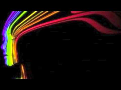 Levels VS. Vamos A La Playa VS.Good Feeling [DJ muJi'A Mashup]