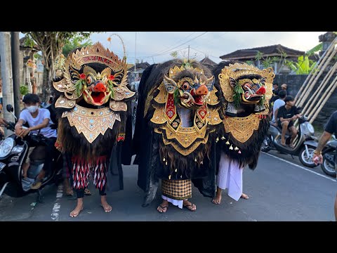 ADU MEKANIK di sading galungan 2022 - barong swara vs bangkal denawa vs bangkal brangas