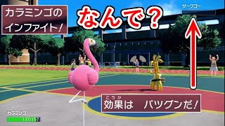 ~カラミンゴの話かと思ったらサーフゴーの話だった - 対戦相手がフリーズ...「カラミンゴ」のインファイトが何故かゴーストタイプのサーフゴーに直撃して一瞬で試合が終わる。【ポケモンSV実況】