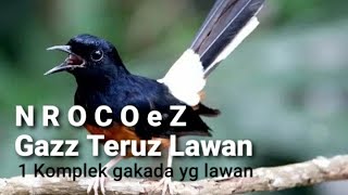 Download lagu Kandang Ternak Murai Batu @cakranuswantara4747 mp3 Download lagu Kandang Ternak Murai Batu @cakranuswantara4747 mp3