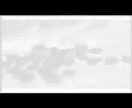 Video $State's Evidence