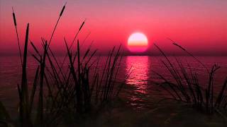 Violet vision - get you closer