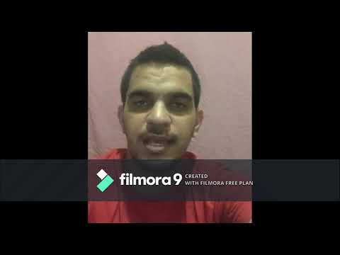 Filotaxis Palma Aceitera