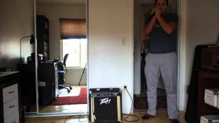 Video thumbnail for Solid State Amps for Harmonica - the Peavey Studio Pro 40 by OneHarp