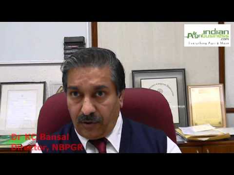 National Bureau of Plant Genetic Resources New Delhi General video thumbnail 1