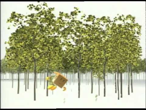 Comieco e il ciclo del riciclo di carta e cartone: lo sai che....mov