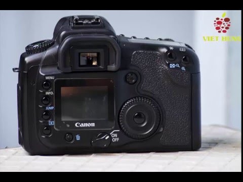 Canon EOS 20D: Pictures
