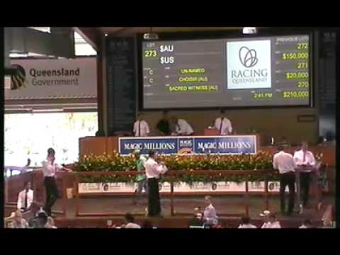 2012 Gold Coast Yearling Sale Lots 261 - 280