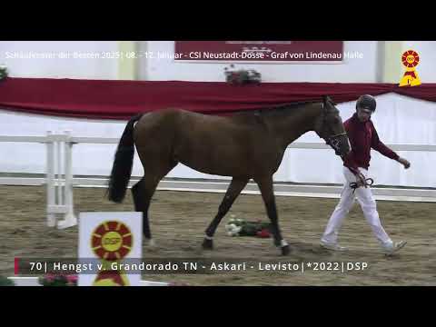 70 Hengst v. Grandorado - Askari