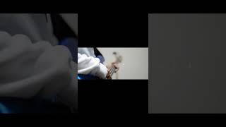 【#盗作】【#ヨルシカ】【#shorts】【#永久機関】  #盗作 #ヨルシカ  プロフよりYouTube fullへ飛べます！ #初音ミク #anime  #hatsunemiku