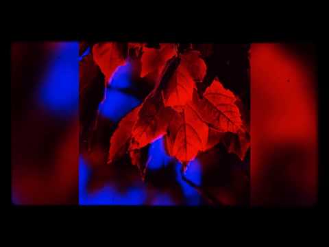 FMB Rambo X Big Wayne SPG-Nothing Less (official audio)