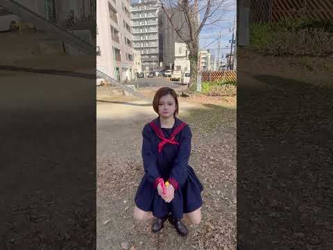 巨大なパイプグラス「カール・フェルスター」 植物