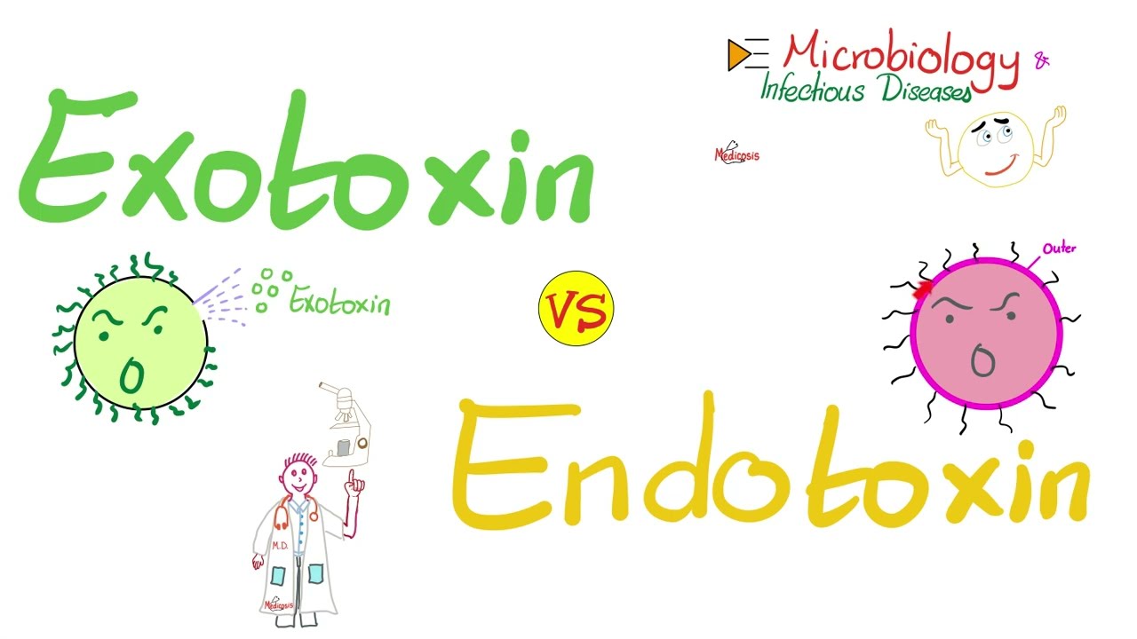 Exotoxins vs. Endotoxins - Microbiology 🧫 & Infectious Diseases 🦠