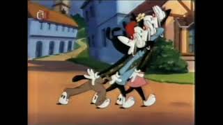 Kadr z teledysku Píseň Skautů + ACME píseň tekst piosenki Animaniacs (OST)