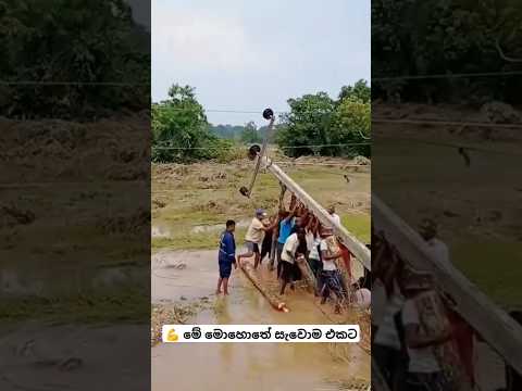 ❤️ හැමෝම එකතුවෙලා #travel #automobile #bus #busrace #music #trending #driving #shortsfeed #shorts