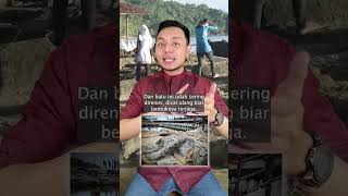 Download lagu Is the Malin Kundang Folktale REAL or MYTHIC?! #shorts mp3