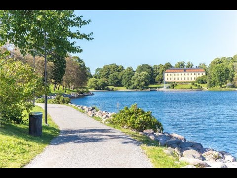 Back in SWEDEN 🇸🇪 LIVE walk Sollentuna with a fox!  #464