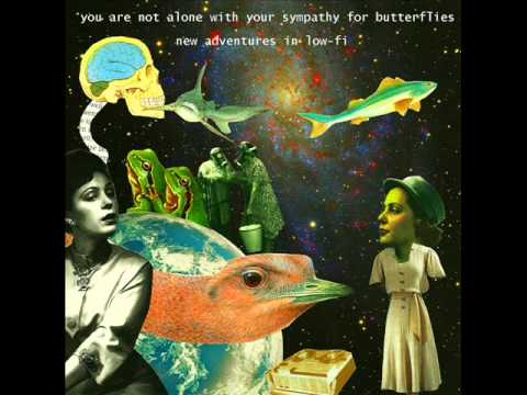 You Are Not Alone With Your Sympathy For Butterflies - Let Your Love Flow