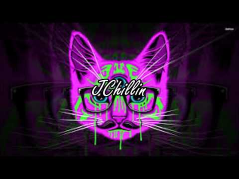 Bandana Split - Wild