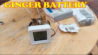 Root Ginger Galvanic Battery two cells