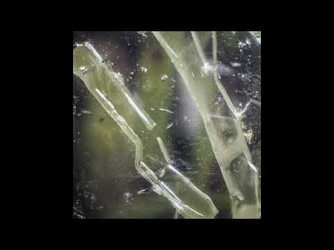 Theus Mago -  X Control