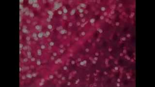 Tunabunny - Hollywood Unincorporated