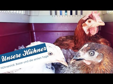 Unsere Hühner🐔 | Hühnerstall, Basar und die ersten Tage | undweg2016