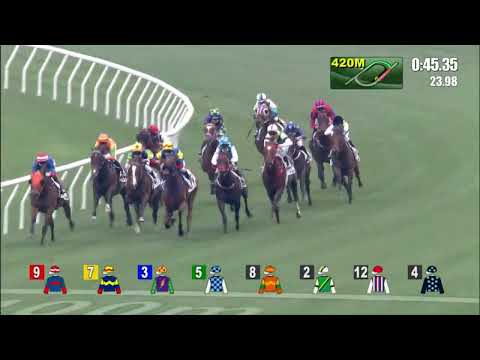 6/3/2022 (476) Smiling Collector - Keith Yeung