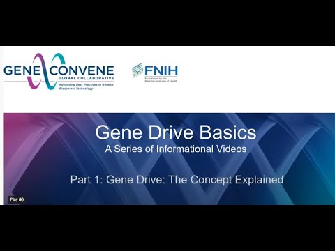 The Concept of Gene Drive