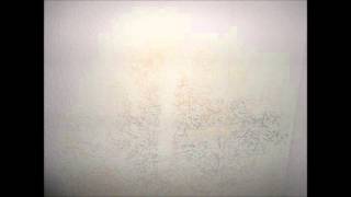 Living Days   Little White Lie GTA V Version