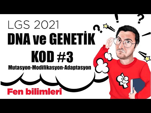 , title : 'LGS HAZIRLIK 2021 Fen Bilimleri DNA ve Genetik KOD #3 (Mutasyon, Modifikasyon, Adaptasyon...)'