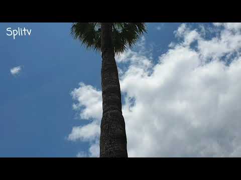 Nevera će... a možda i Oluja, nešto je divlje u zraku +30 je