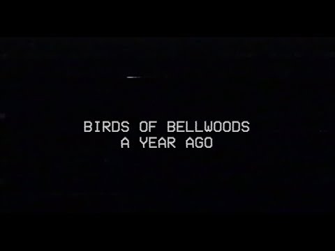 Birds of Bellwoods - A Year Ago (Official Video)