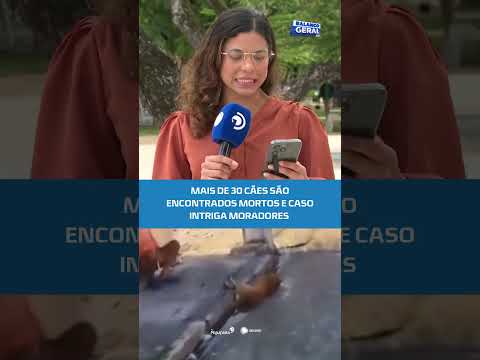 🚨Mistério em Ouro Branco: mortes em série de cães mobilizam investigação #BalançoGeralAL