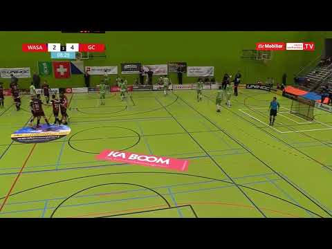 Eigentor WaSa vs GC