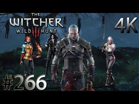 THE WITCHER 3 : WILD HUNT [DSR] -#266- Kunst *hust* | Let's Play The Witcher 3 : Wild Hunt