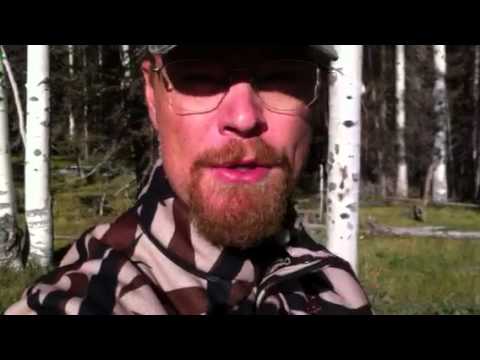 Elk Hunting Update - Sept 14th - The Sweet Feed by Roe Hunting Resources