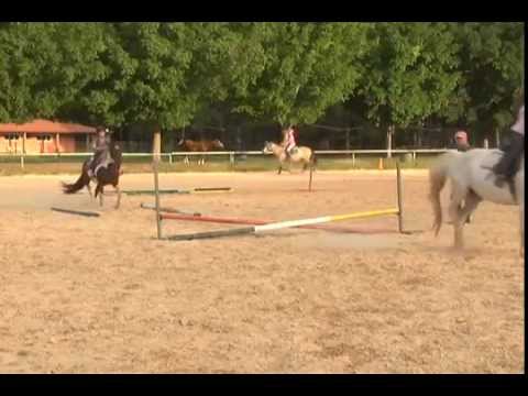 HARAS E RAÇAS - UNIVERSIDADE DO CAVALO (QUARTA-FEIRA)