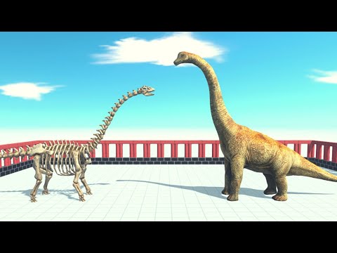 Skeleton Sauropod Vs Every Unit ARBS |Animal Revolt Battle Simulator