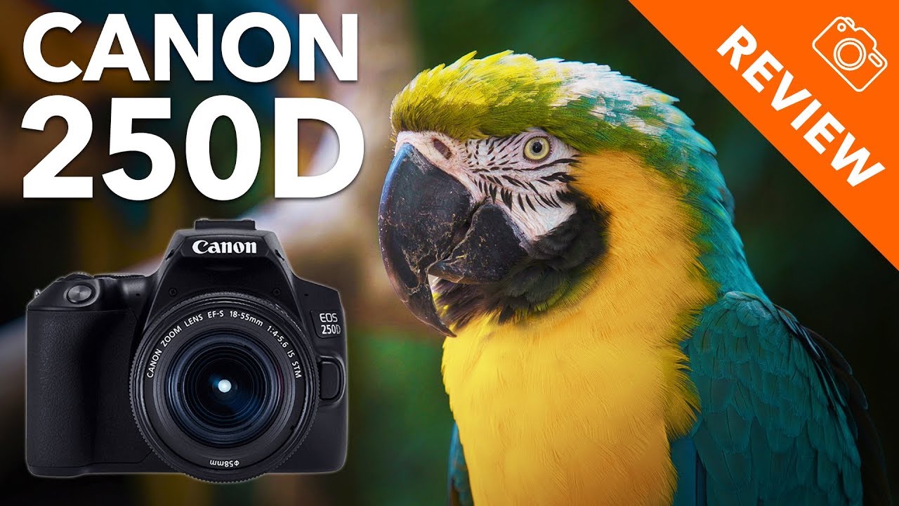 Camera Plus - The Canon EOS 250D is a brilliant camera get