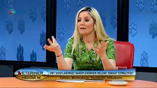 Veteriner Hekimi'm / Gözde Çetin Kasap / Seçkin Kasap / 21 Mart 2018