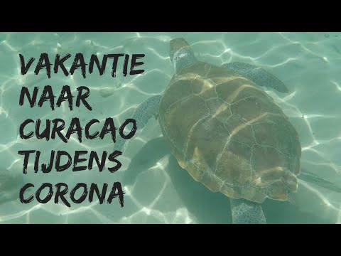 OP VAKANTIE NAAR CURACAO TIJDENS CORONA / ONZE TIPS & ERVARINGEN