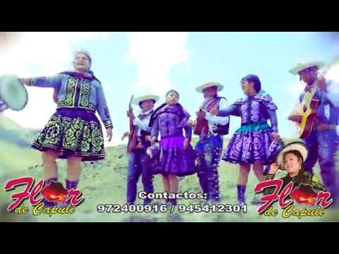 Porticha Pura - Flor De Capuli Huaylia