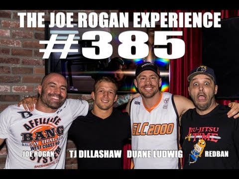 Joe Rogan Experience #385 - Duane Ludwig, TJ Dillashaw