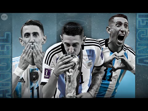 The Rise & Fall of An Angel