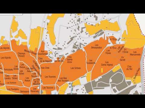 Beaune und seine 1er Crus - Masterclass mit Frank Kämmer MS