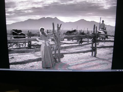 O Galante Aventureiro 