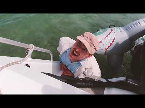 Fake Film Entry - David Barber - Jaws