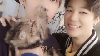 BTS with Animals Compilation